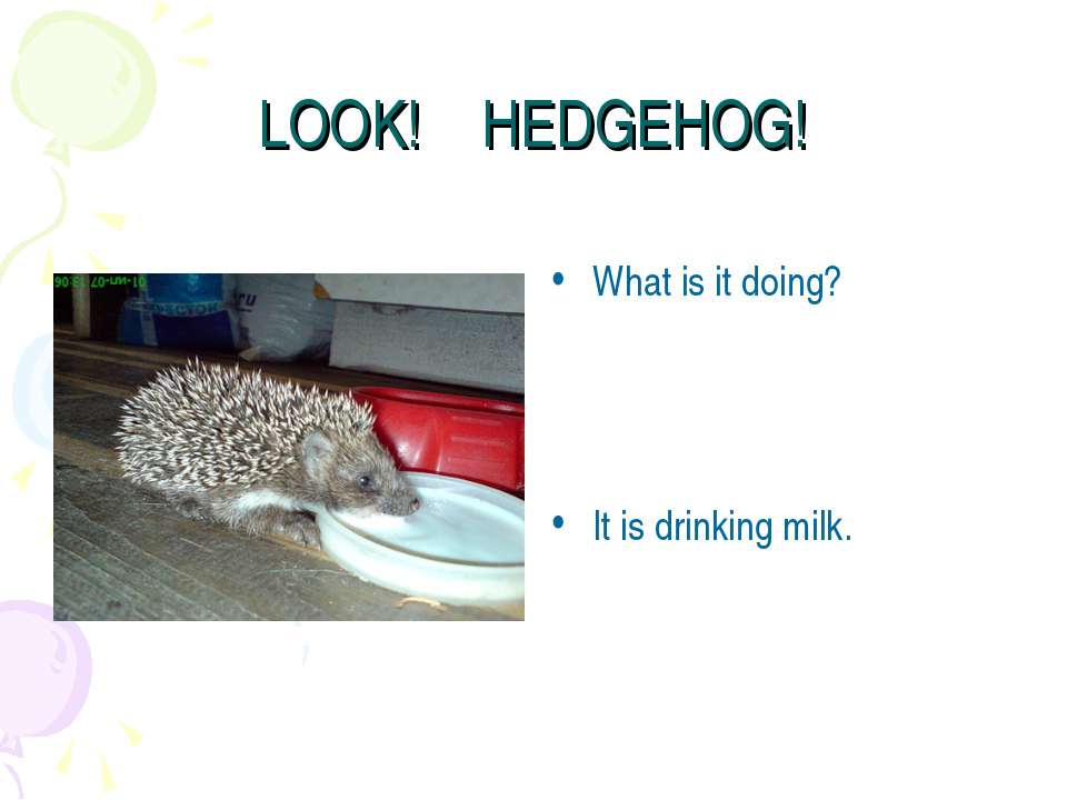 Look! Hedgehog! - Класс учебник | Академический школьный учебник скачать | Сайт школьных книг учебников uchebniki.org.ua