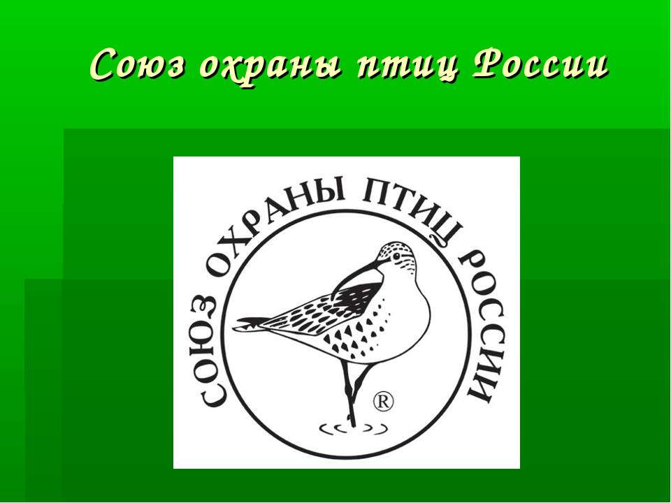 Союз охраны птиц России - Класс учебник | Академический школьный учебник скачать | Сайт школьных книг учебников uchebniki.org.ua