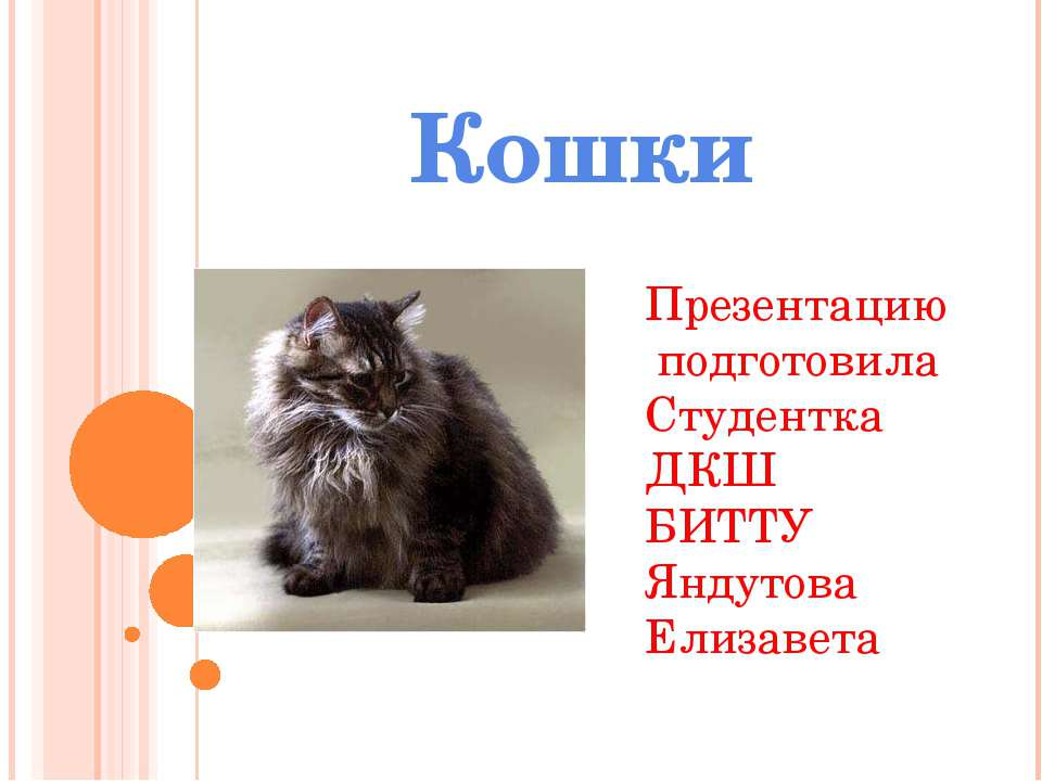 День кошек в России - Класс учебник | Академический школьный учебник скачать | Сайт школьных книг учебников uchebniki.org.ua