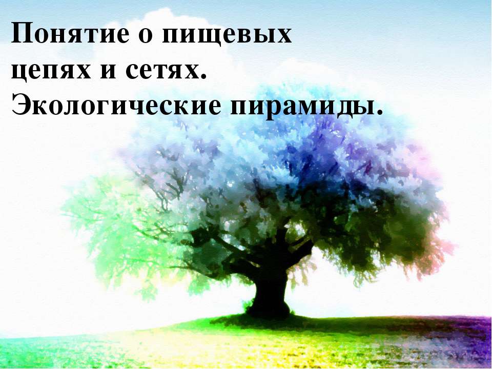 Понятие о пищевых цепях и сетях. Экологические пирамиды - Класс учебник | Академический школьный учебник скачать | Сайт школьных книг учебников uchebniki.org.ua