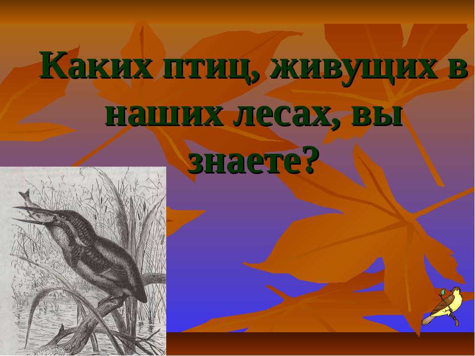 Каких птиц, живущих в наших лесах, вы знаете? - Класс учебник | Академический школьный учебник скачать | Сайт школьных книг учебников uchebniki.org.ua