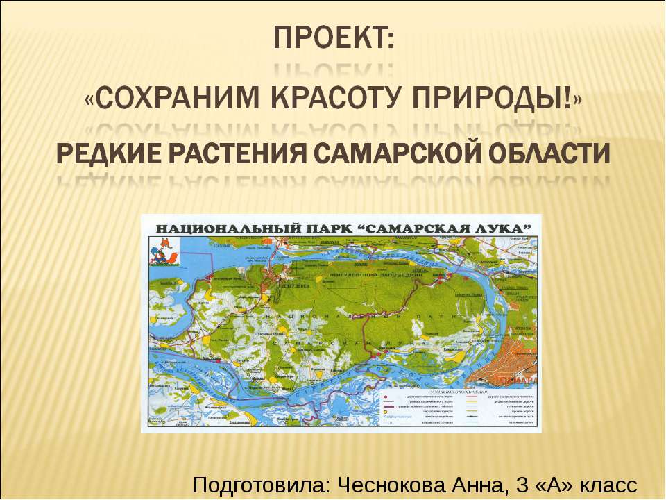 Редкие растения Самарской области - Класс учебник | Академический школьный учебник скачать | Сайт школьных книг учебников uchebniki.org.ua