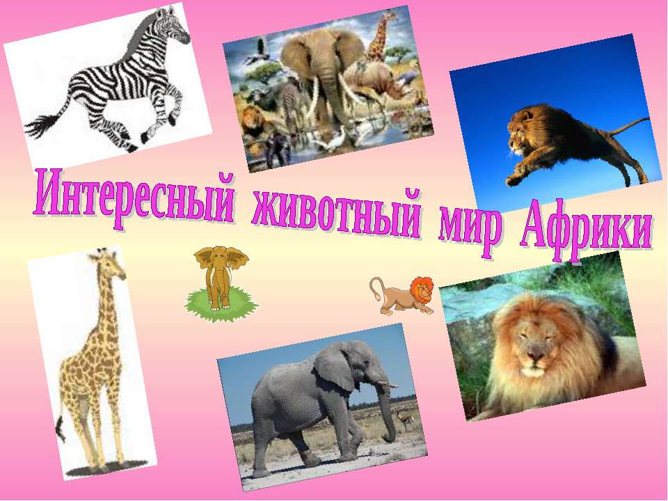 Интересный животный мир Африки - Класс учебник | Академический школьный учебник скачать | Сайт школьных книг учебников uchebniki.org.ua