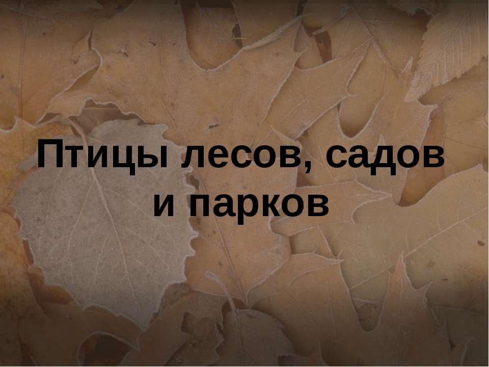 Птицы лесов, садов и парков - Класс учебник | Академический школьный учебник скачать | Сайт школьных книг учебников uchebniki.org.ua