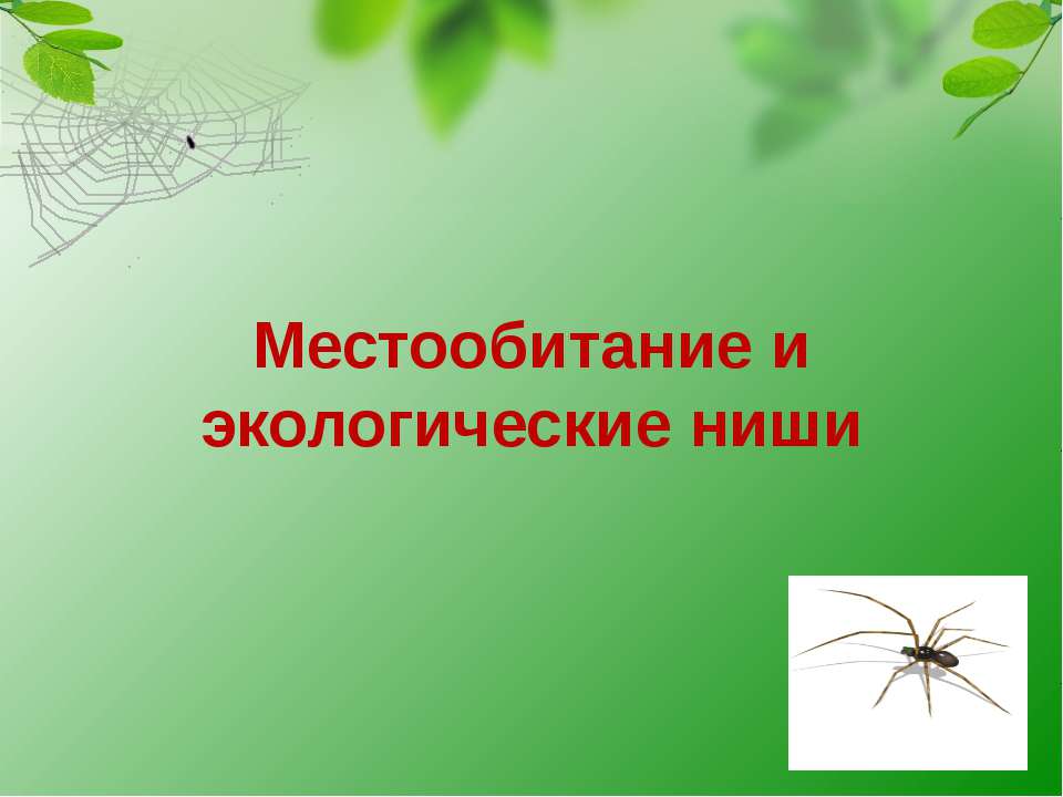 Местообитание и экологические ниши - Класс учебник | Академический школьный учебник скачать | Сайт школьных книг учебников uchebniki.org.ua