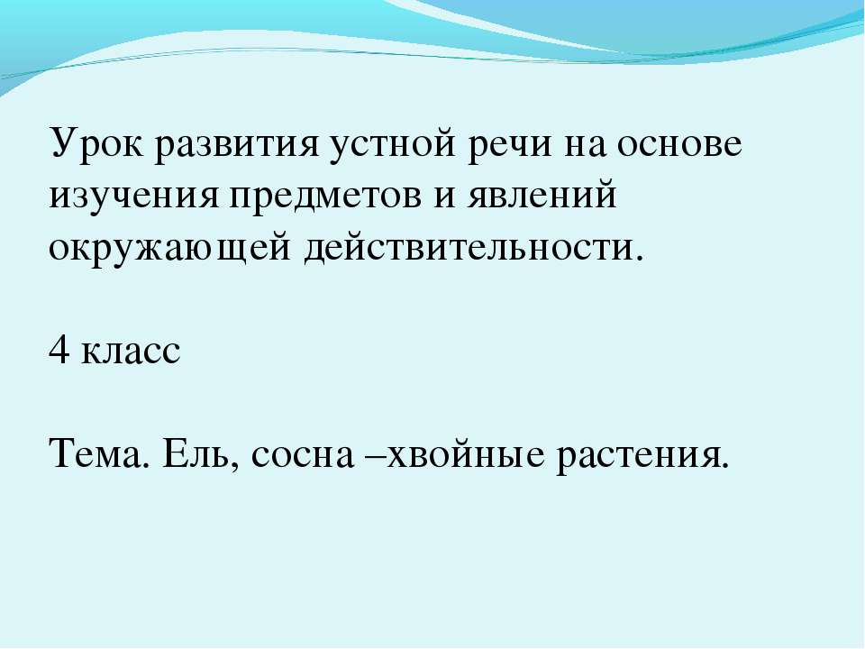 Ель, сосна –хвойные растения - Класс учебник | Академический школьный учебник скачать | Сайт школьных книг учебников uchebniki.org.ua