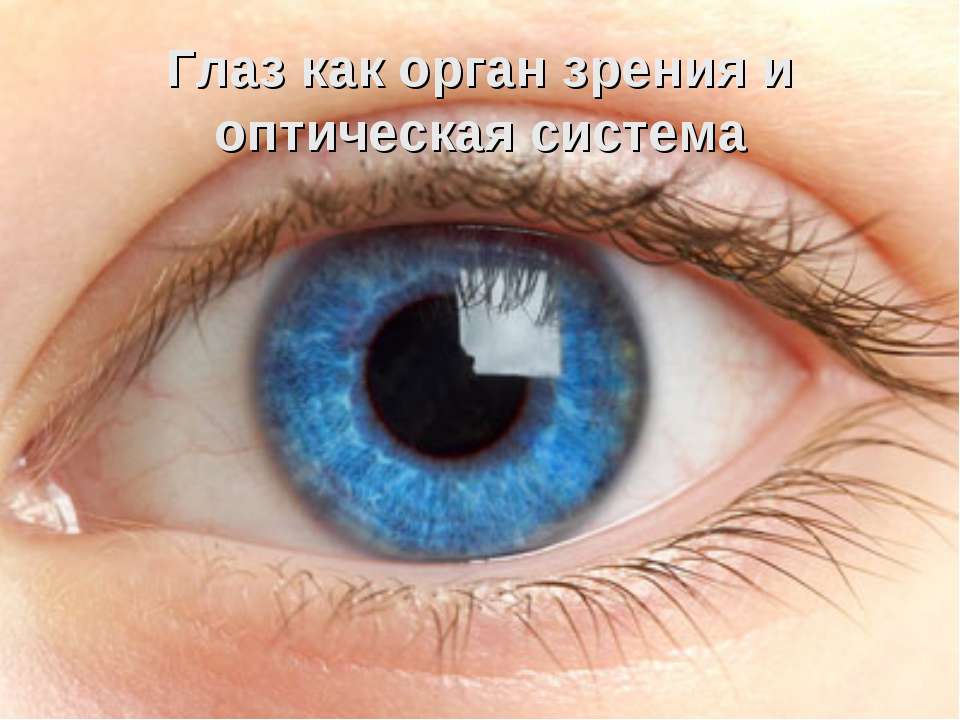 Глаз как орган зрения и оптическая система - Класс учебник | Академический школьный учебник скачать | Сайт школьных книг учебников uchebniki.org.ua