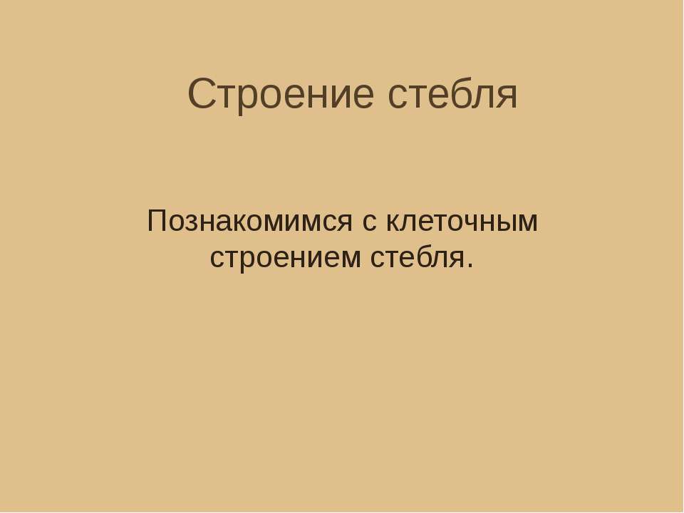 Строение стебля. Познакомимся с клеточным строением стебля - Класс учебник | Академический школьный учебник скачать | Сайт школьных книг учебников uchebniki.org.ua