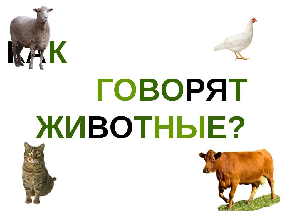 Как говорят животные? - Класс учебник | Академический школьный учебник скачать | Сайт школьных книг учебников uchebniki.org.ua