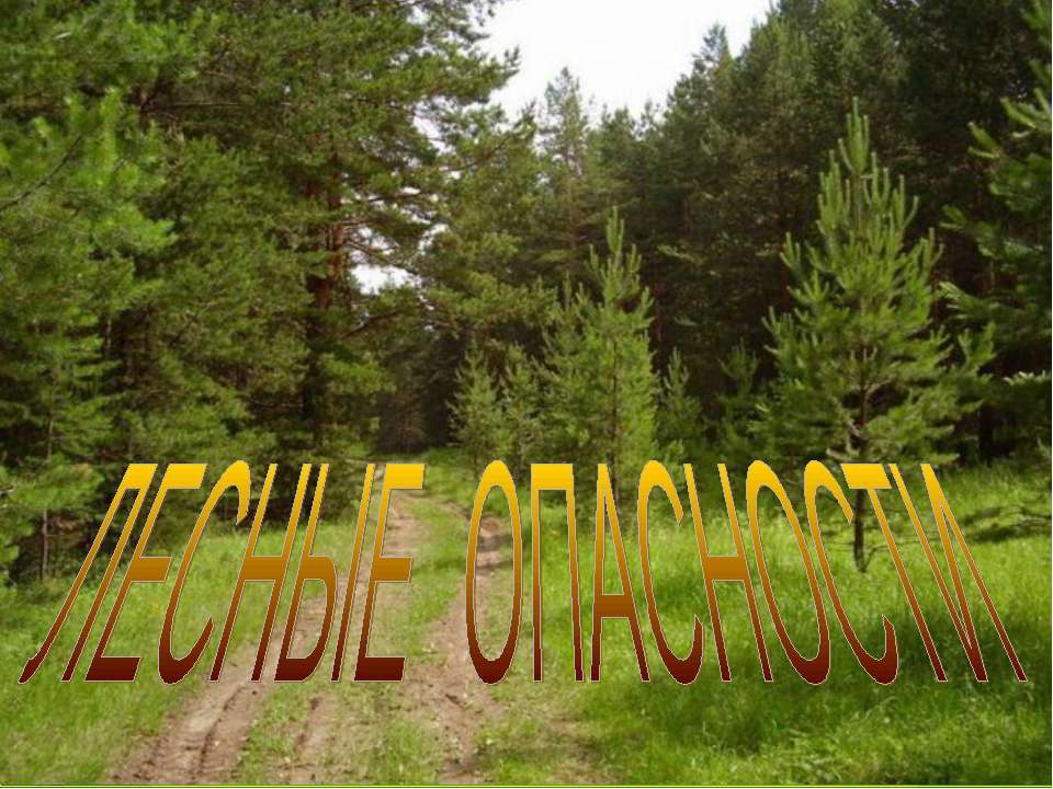 Лесные опасности - Класс учебник | Академический школьный учебник скачать | Сайт школьных книг учебников uchebniki.org.ua