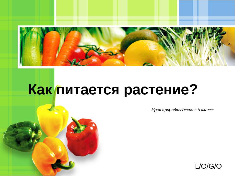 Как питается растение? 5 класс - Класс учебник | Академический школьный учебник скачать | Сайт школьных книг учебников uchebniki.org.ua