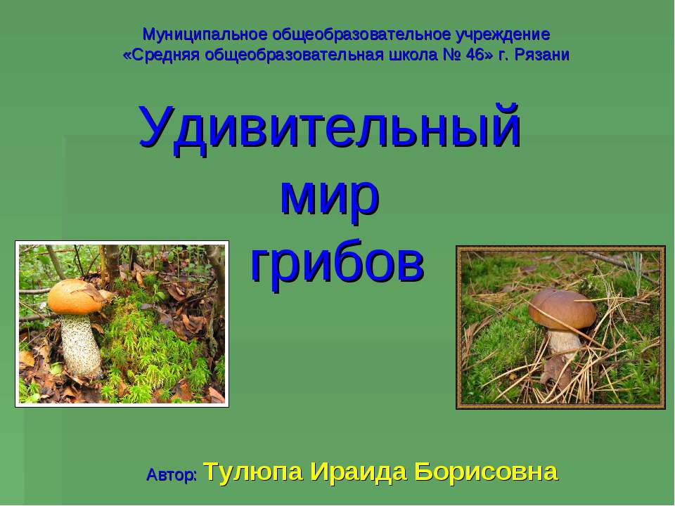 Удивительный мир грибов - Класс учебник | Академический школьный учебник скачать | Сайт школьных книг учебников uchebniki.org.ua