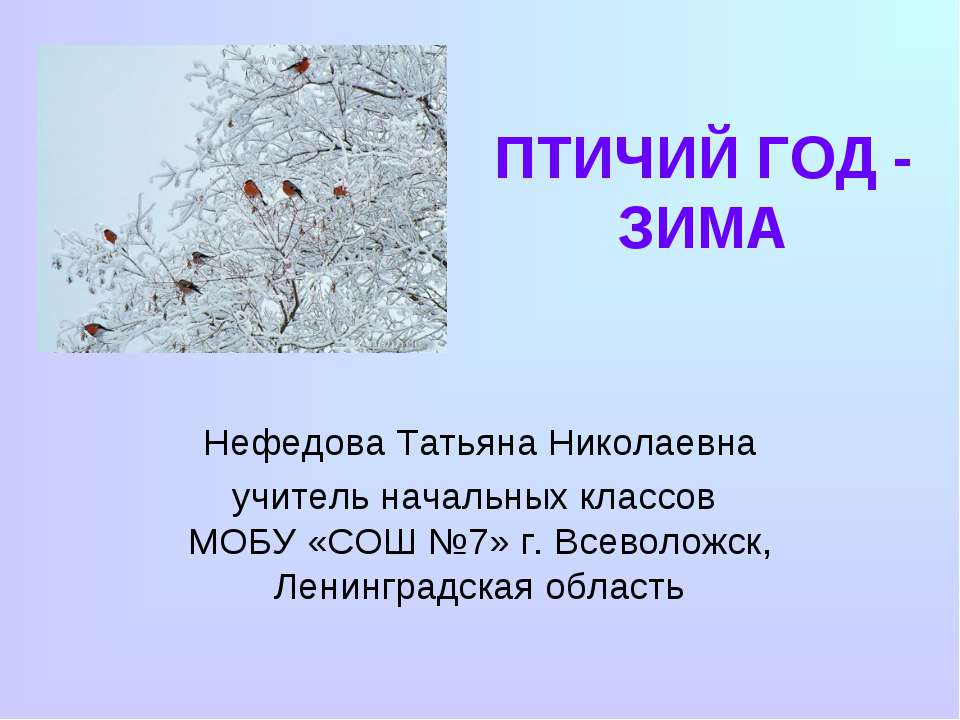 Птичий год - зима - Класс учебник | Академический школьный учебник скачать | Сайт школьных книг учебников uchebniki.org.ua