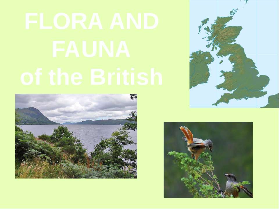 Flora and fauna of the British Isles - Класс учебник | Академический школьный учебник скачать | Сайт школьных книг учебников uchebniki.org.ua