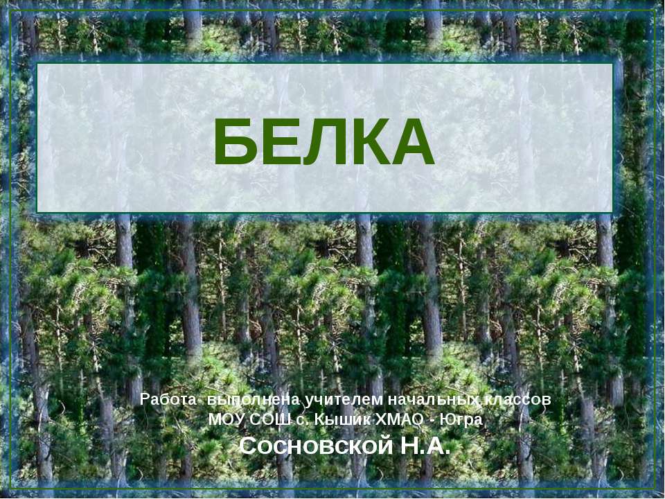 Белка - Класс учебник | Академический школьный учебник скачать | Сайт школьных книг учебников uchebniki.org.ua