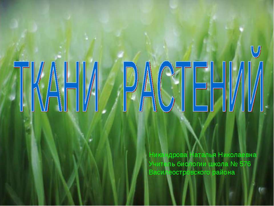 Ткани растений - Класс учебник | Академический школьный учебник скачать | Сайт школьных книг учебников uchebniki.org.ua