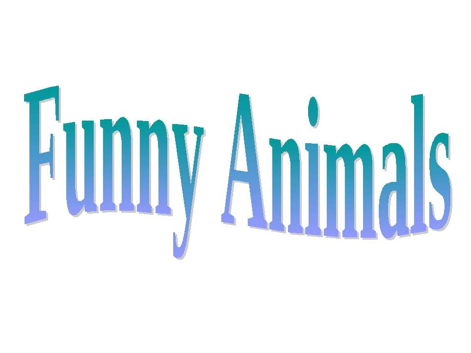 Funny animals - Класс учебник | Академический школьный учебник скачать | Сайт школьных книг учебников uchebniki.org.ua
