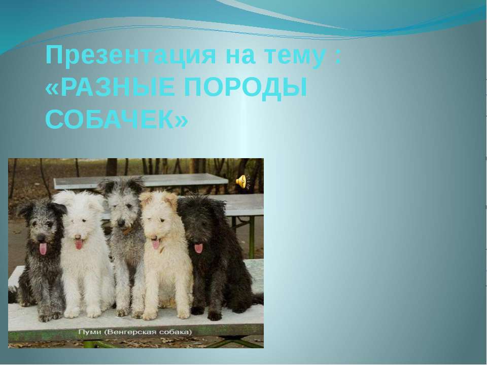 Породы собак - Класс учебник | Академический школьный учебник скачать | Сайт школьных книг учебников uchebniki.org.ua