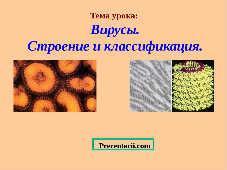 Вирусы. Строение и классификация - Класс учебник | Академический школьный учебник скачать | Сайт школьных книг учебников uchebniki.org.ua