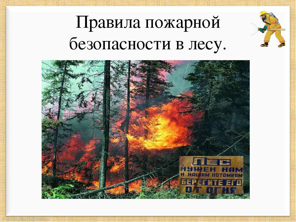 Правила пожарной безопасности в лесу - Класс учебник | Академический школьный учебник скачать | Сайт школьных книг учебников uchebniki.org.ua