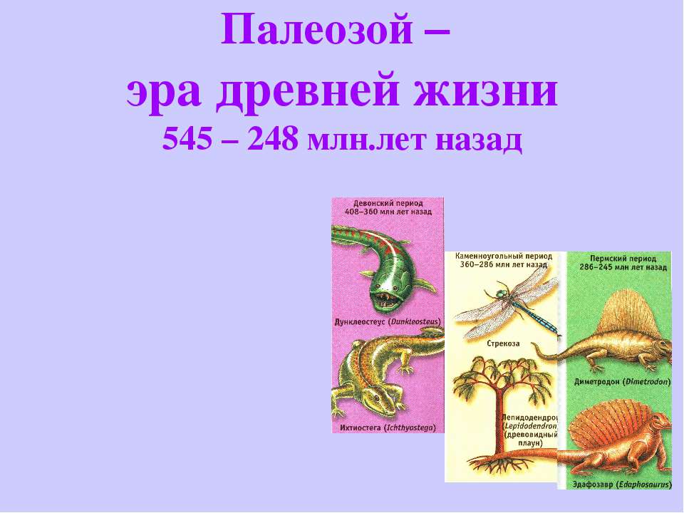 Палеозой – эра древней жизни 545 – 248 млн.лет назад - Класс учебник | Академический школьный учебник скачать | Сайт школьных книг учебников uchebniki.org.ua