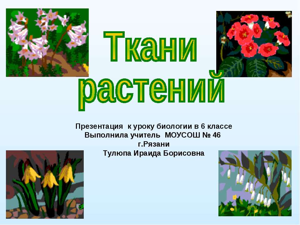 Ткани растений 6 класс - Класс учебник | Академический школьный учебник скачать | Сайт школьных книг учебников uchebniki.org.ua