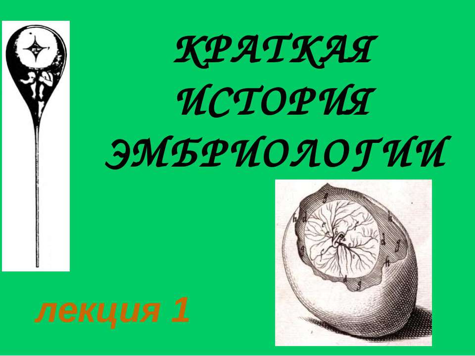 Краткая история эмбриологии - Класс учебник | Академический школьный учебник скачать | Сайт школьных книг учебников uchebniki.org.ua