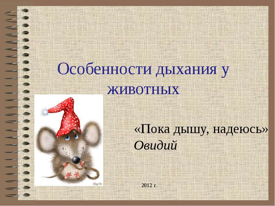 Особенности дыхания у животных - Класс учебник | Академический школьный учебник скачать | Сайт школьных книг учебников uchebniki.org.ua