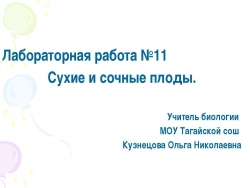 Сухие и сочные плоды - Класс учебник | Академический школьный учебник скачать | Сайт школьных книг учебников uchebniki.org.ua