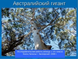 Австралийский гигант - Класс учебник | Академический школьный учебник скачать | Сайт школьных книг учебников uchebniki.org.ua