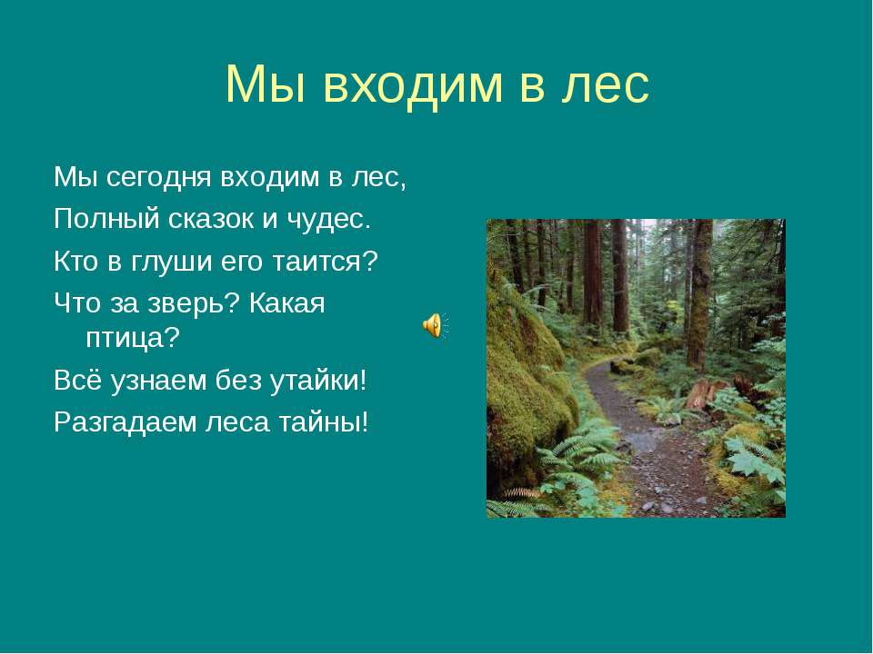 Мы входим в лес - Класс учебник | Академический школьный учебник скачать | Сайт школьных книг учебников uchebniki.org.ua