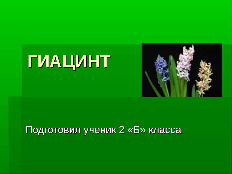 Гиацинт - Класс учебник | Академический школьный учебник скачать | Сайт школьных книг учебников uchebniki.org.ua