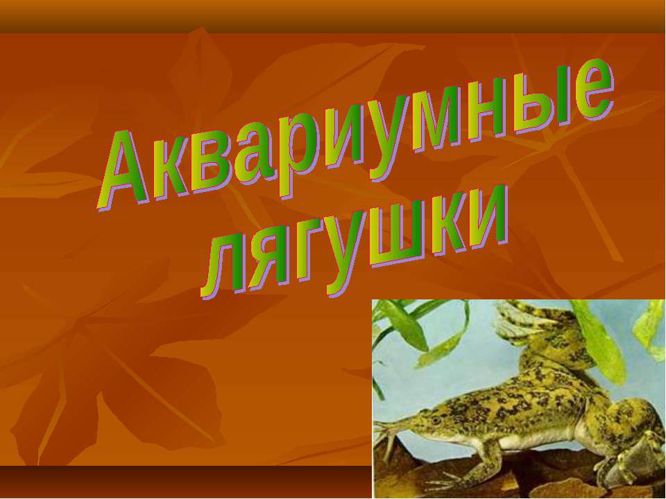 Аквариумные лягушки - Класс учебник | Академический школьный учебник скачать | Сайт школьных книг учебников uchebniki.org.ua