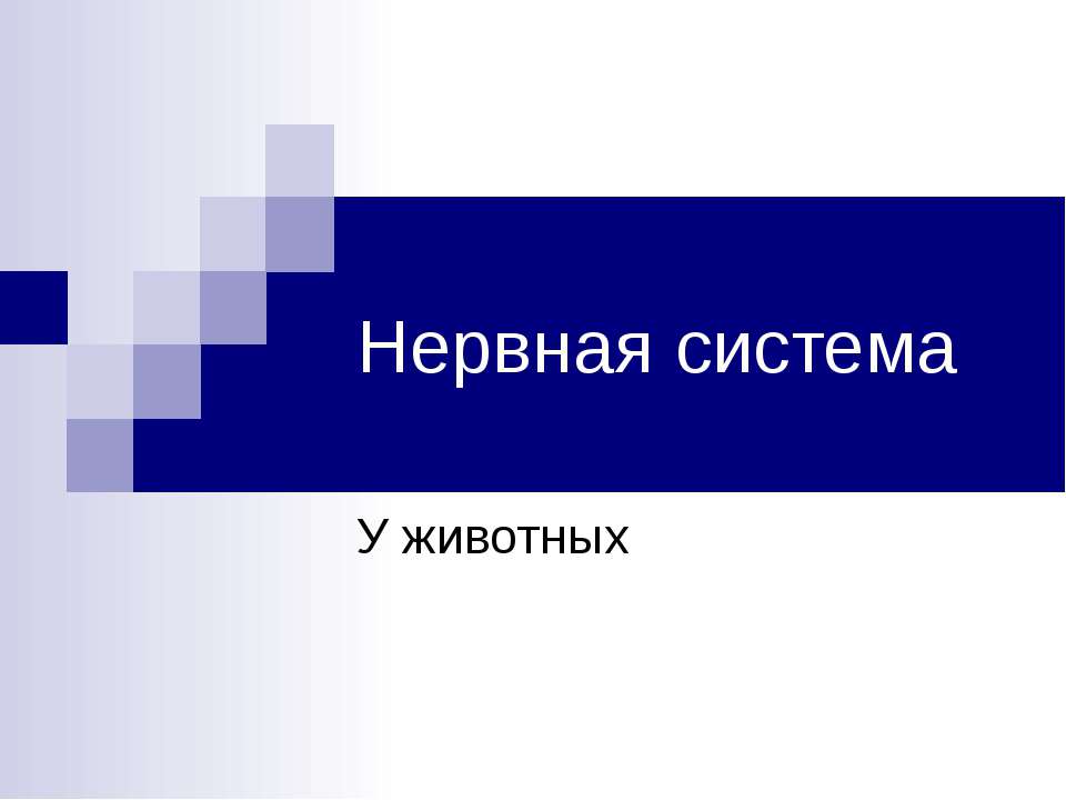 Нервная система У животных - Класс учебник | Академический школьный учебник скачать | Сайт школьных книг учебников uchebniki.org.ua