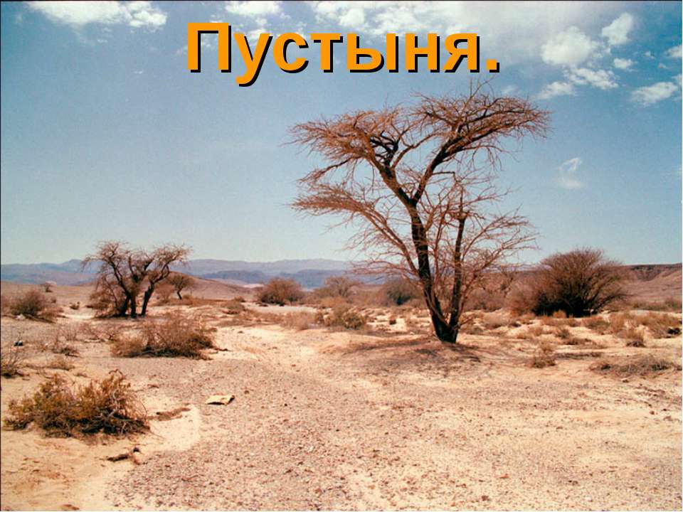 Пустыня - Класс учебник | Академический школьный учебник скачать | Сайт школьных книг учебников uchebniki.org.ua