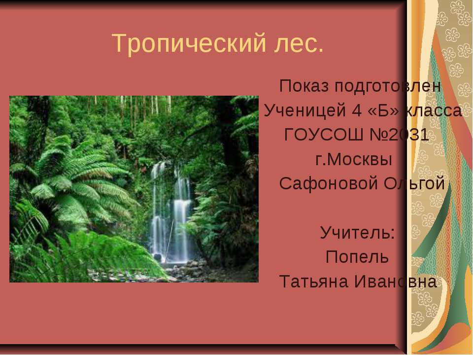 Тропический лес - Класс учебник | Академический школьный учебник скачать | Сайт школьных книг учебников uchebniki.org.ua