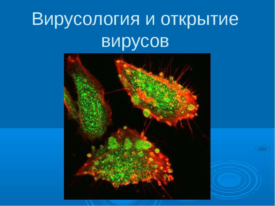 Вирусология и открытие вирусов - Класс учебник | Академический школьный учебник скачать | Сайт школьных книг учебников uchebniki.org.ua