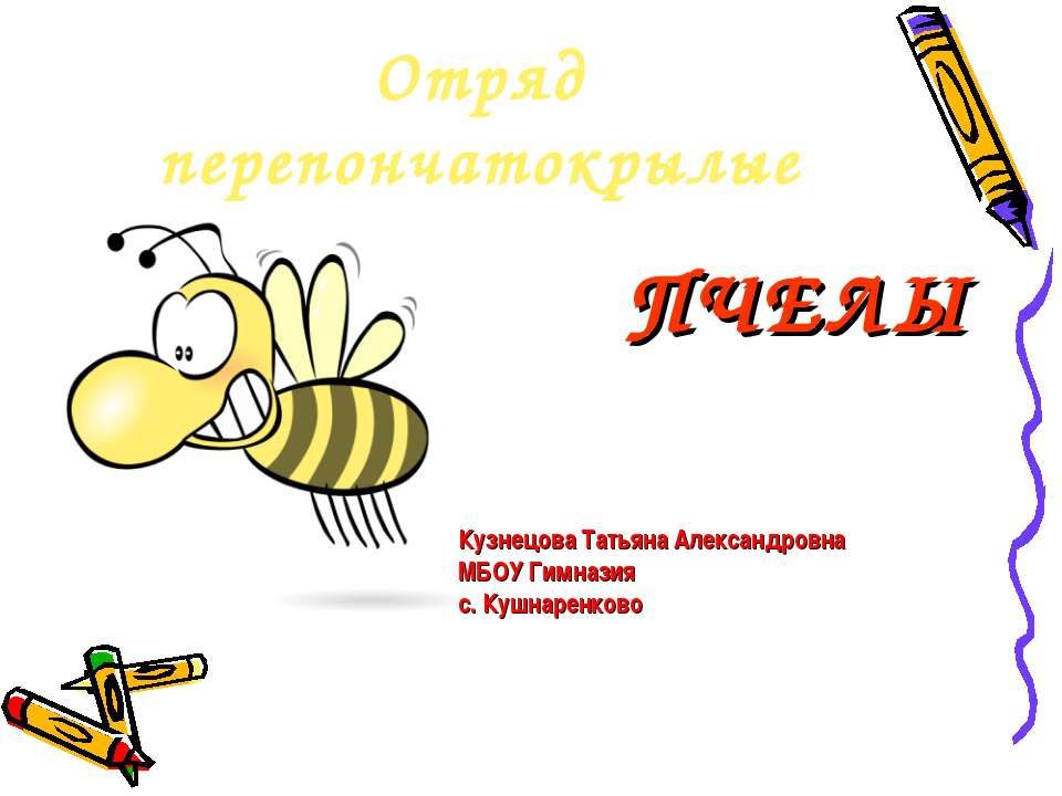 Отряд перепончатокрылые пчелы - Класс учебник | Академический школьный учебник скачать | Сайт школьных книг учебников uchebniki.org.ua