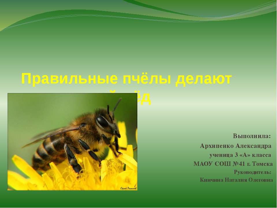 правильные пчёлы делают правильный мёд - Класс учебник | Академический школьный учебник скачать | Сайт школьных книг учебников uchebniki.org.ua