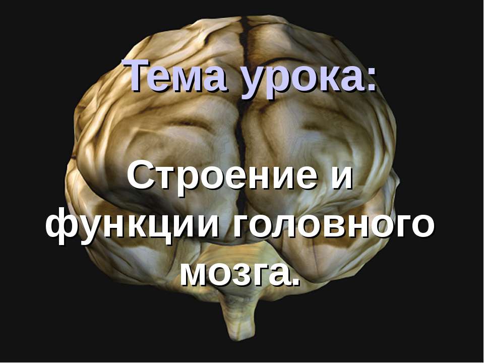 Строение и функции головного мозга - Класс учебник | Академический школьный учебник скачать | Сайт школьных книг учебников uchebniki.org.ua