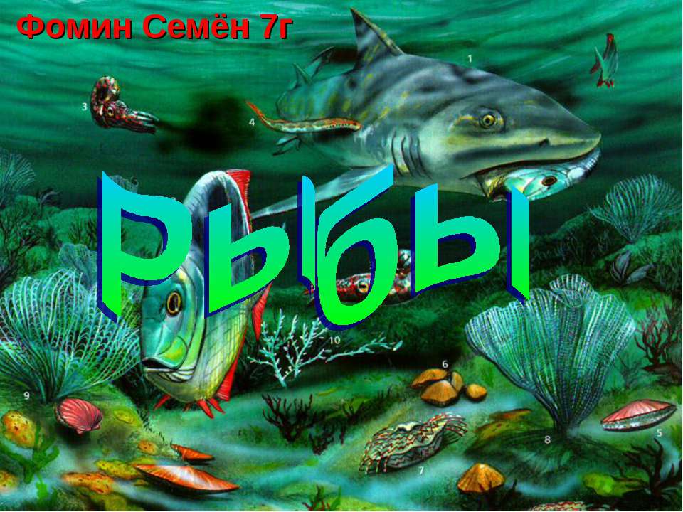 Рыбы - Класс учебник | Академический школьный учебник скачать | Сайт школьных книг учебников uchebniki.org.ua