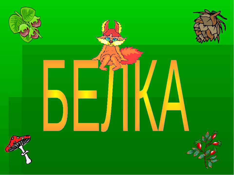 Белка - Класс учебник | Академический школьный учебник скачать | Сайт школьных книг учебников uchebniki.org.ua