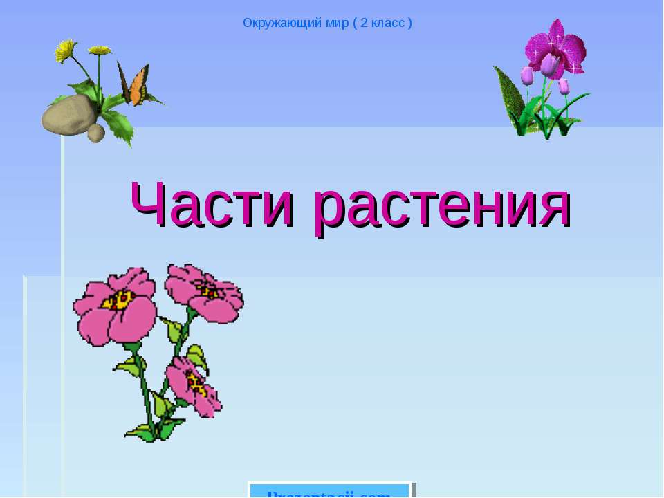 Части растения - Класс учебник | Академический школьный учебник скачать | Сайт школьных книг учебников uchebniki.org.ua