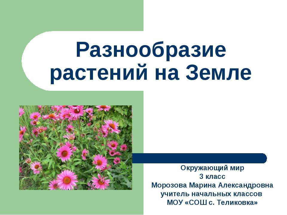 Разнообразие растений на Земле - Класс учебник | Академический школьный учебник скачать | Сайт школьных книг учебников uchebniki.org.ua