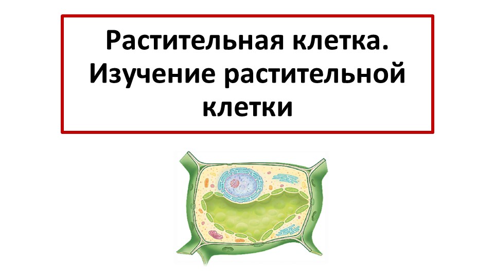 Презентация 6 класс "Растительная клетка" - Класс учебник | Академический школьный учебник скачать | Сайт школьных книг учебников uchebniki.org.ua