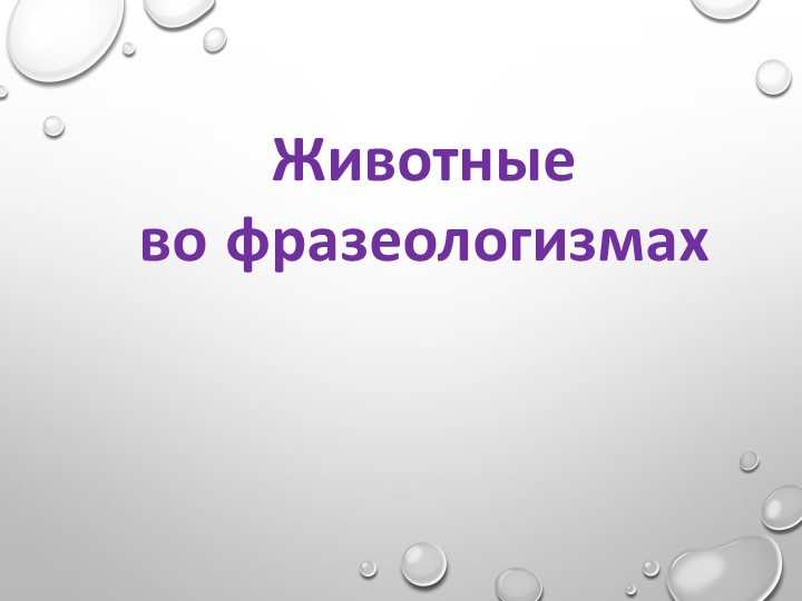 Презентация по развитию речи для детей с умственной отсталостью на тему "Животные во фразеологизмах" (6 класс). - Класс учебник | Академический школьный учебник скачать | Сайт школьных книг учебников uchebniki.org.ua