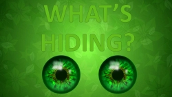 Презентация "What is hiding?" - Класс учебник | Академический школьный учебник скачать | Сайт школьных книг учебников uchebniki.org.ua