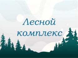 9 класс "Лесной комплекс" - Класс учебник | Академический школьный учебник скачать | Сайт школьных книг учебников uchebniki.org.ua