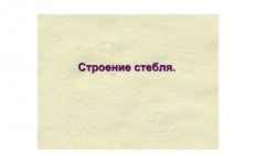 Презентация по теме "Строение стебля" - Класс учебник | Академический школьный учебник скачать | Сайт школьных книг учебников uchebniki.org.ua