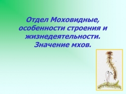 Презентация по теме "Отдел мхов" - Класс учебник | Академический школьный учебник скачать | Сайт школьных книг учебников uchebniki.org.ua